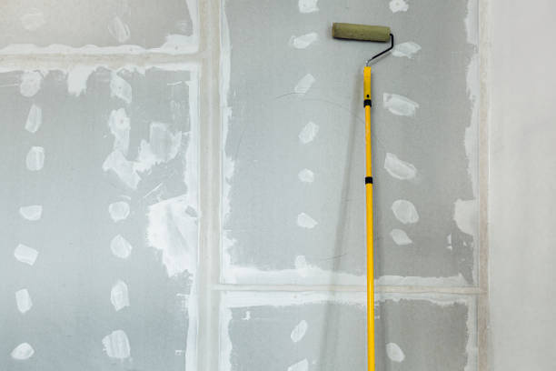 Professional Drywall & Painting Services in Oneill, NE